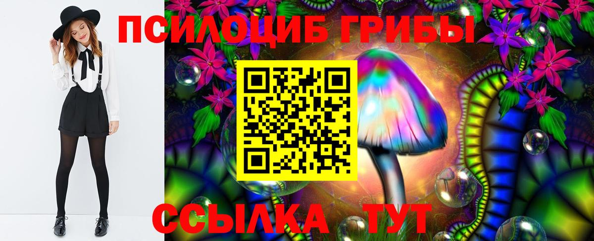 Галлюциногенные грибы Cubensis Партизанск