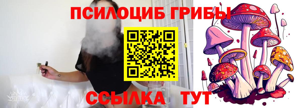 Псилоцибиновые грибы Psilocybe  Вход с VPN  Партизанск  Галлюциногенные грибы MAGIC MUSHROOMS 